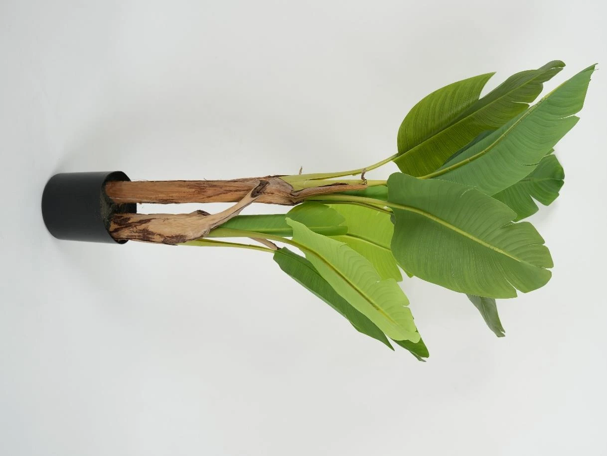 Banana Tree x10Lvs 2 Trunk PE Leaves And Wooden Trunk 120cm